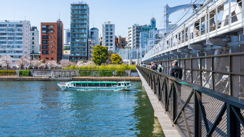 A riverside stroll through Sumida Park