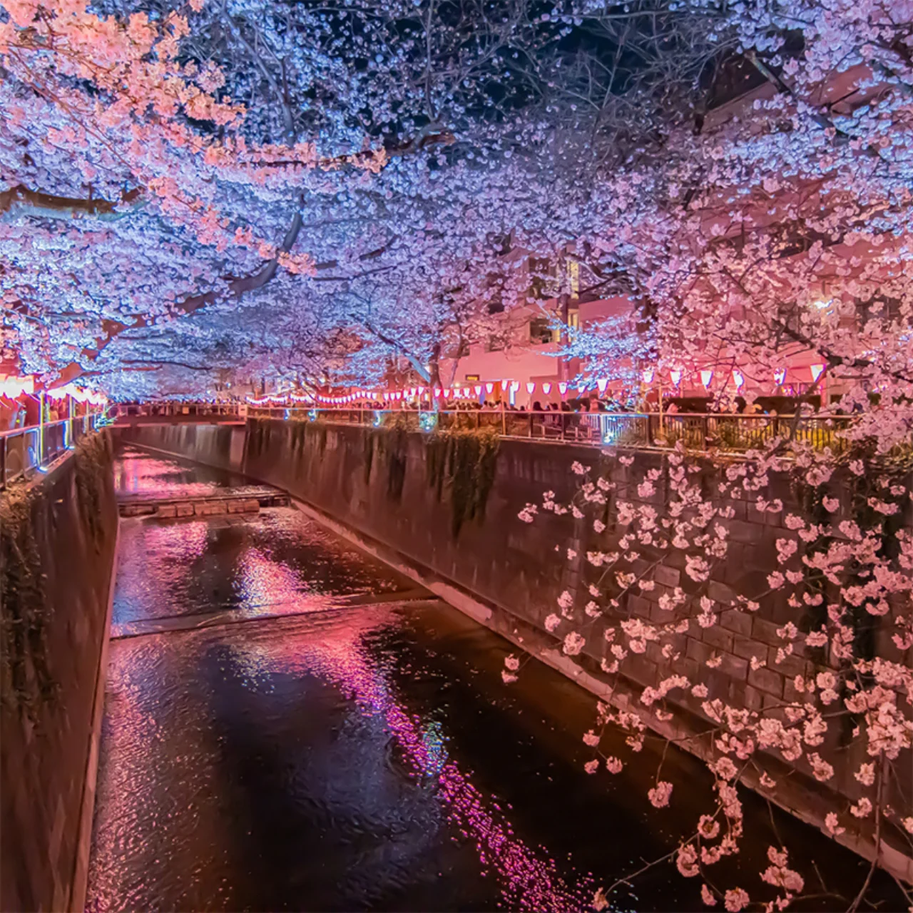 SHINAGAWA/MEGURO